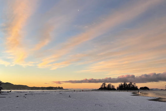 Experience Tofino's Coastal Bliss with Neso