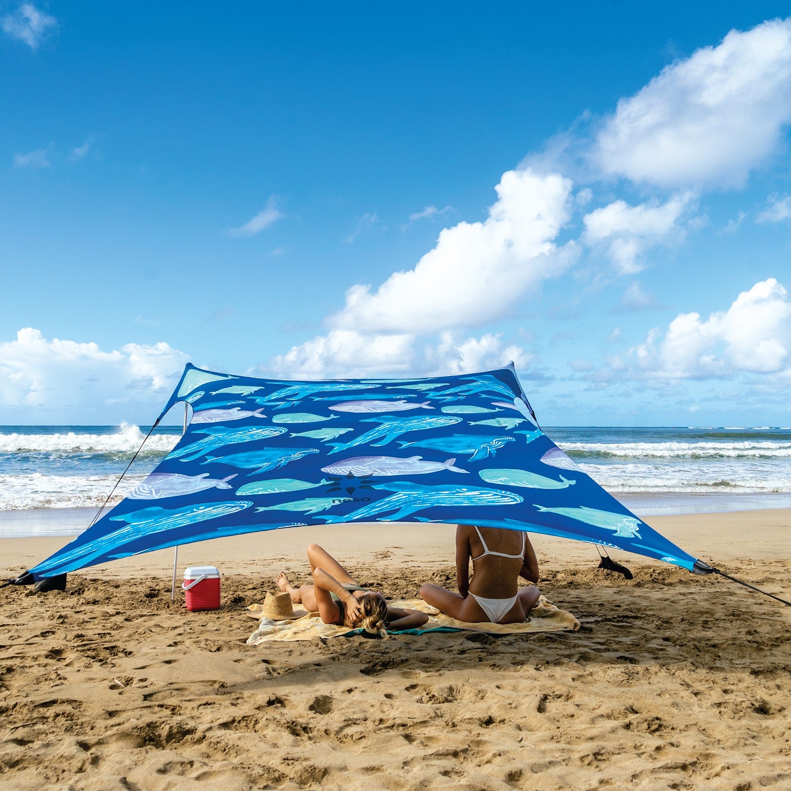 neso tent wind Neso 1